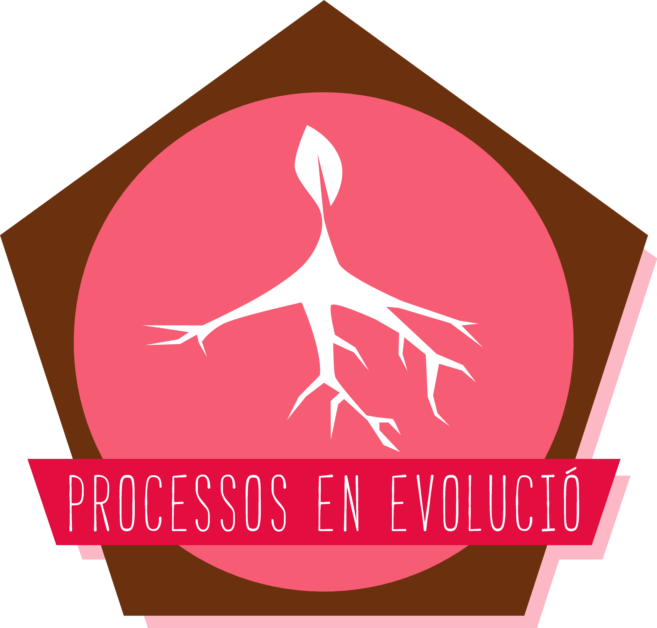 itinerari Processos en Evolució